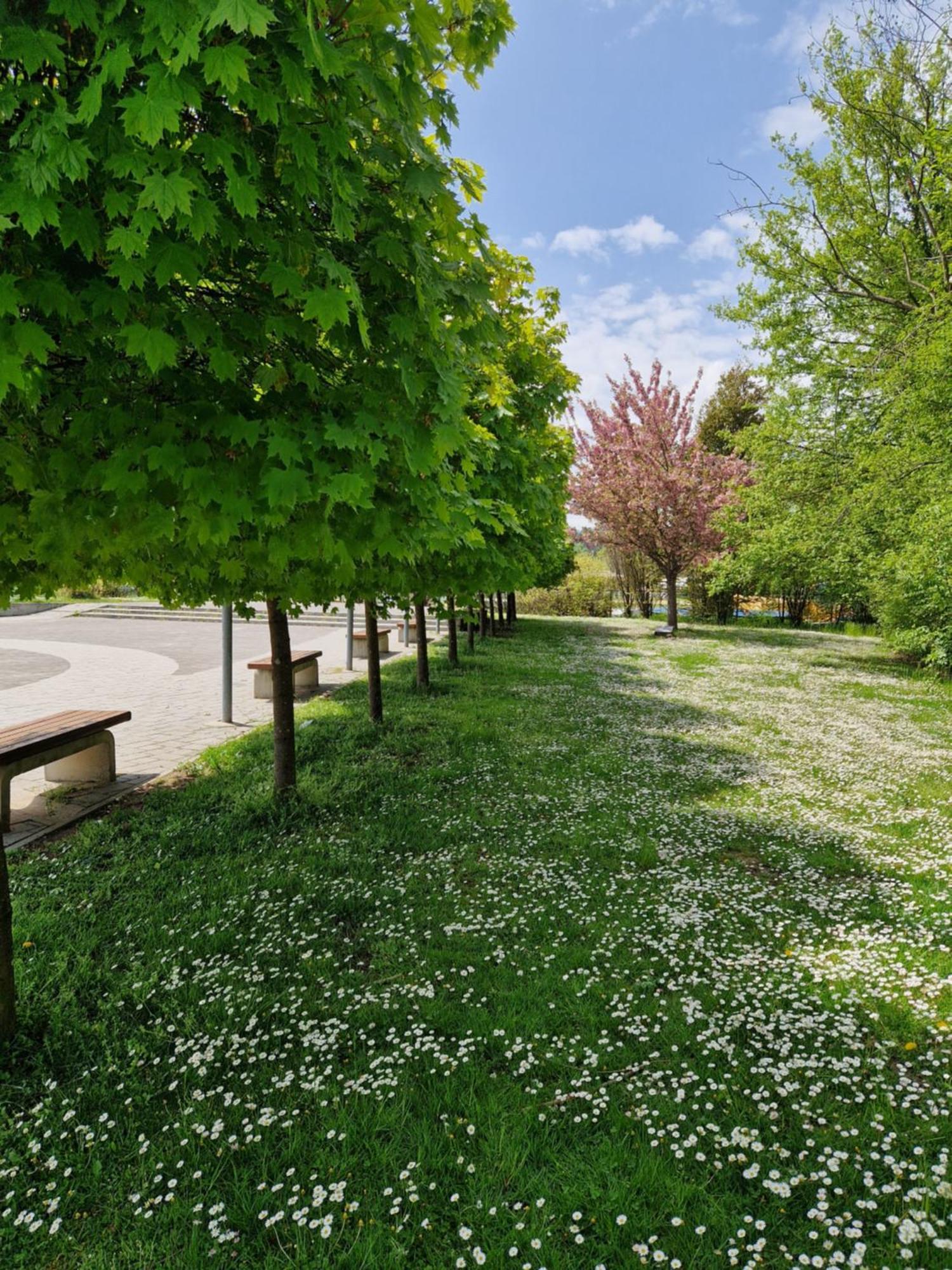 Suita Beli Labod Medvode Buitenkant foto